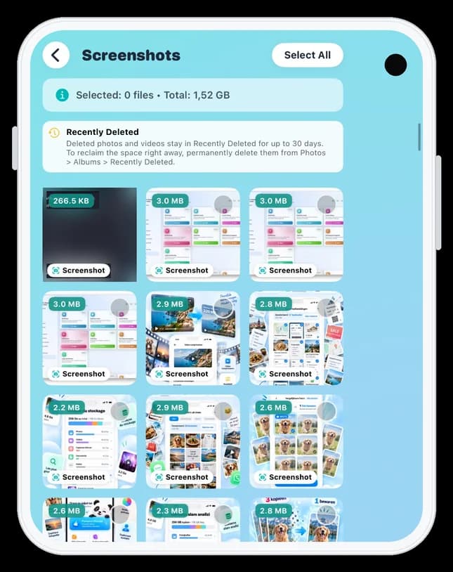 Skärmen Skärmavbilder i Clean Up Storage med en lista över skärmavbilder, deras filstorlekar och etiketten ”Skärmavbild”