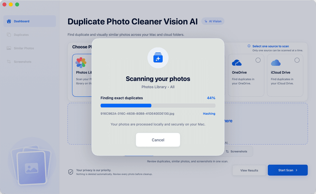 Duplicate Photo Cleaner Vision AI scanning progress